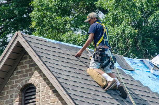 Best Roofing Contractor Near Me  in Georgetown, IN