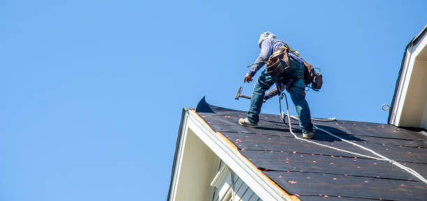 Best Roof Gutter Cleaning  in Georgetown, IN